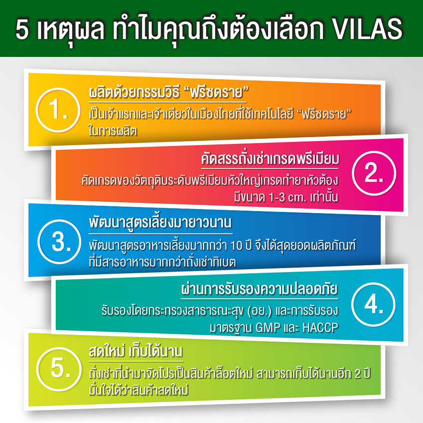 InfographicVilas