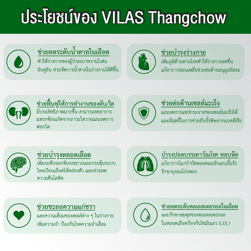 InfographicVilas