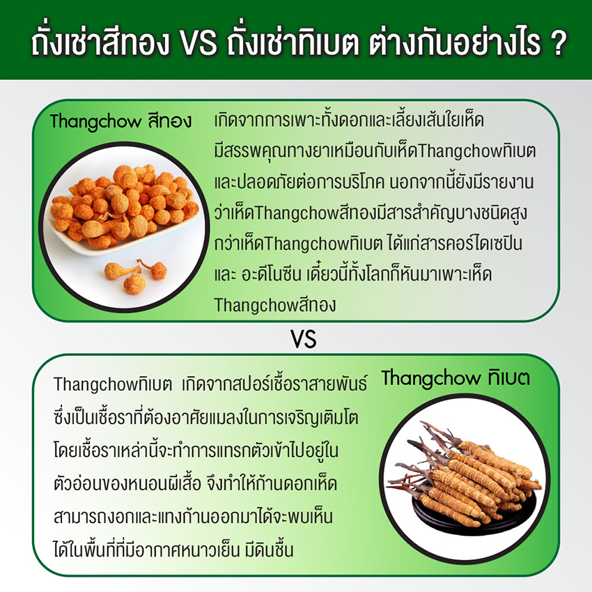 InfographicVilas